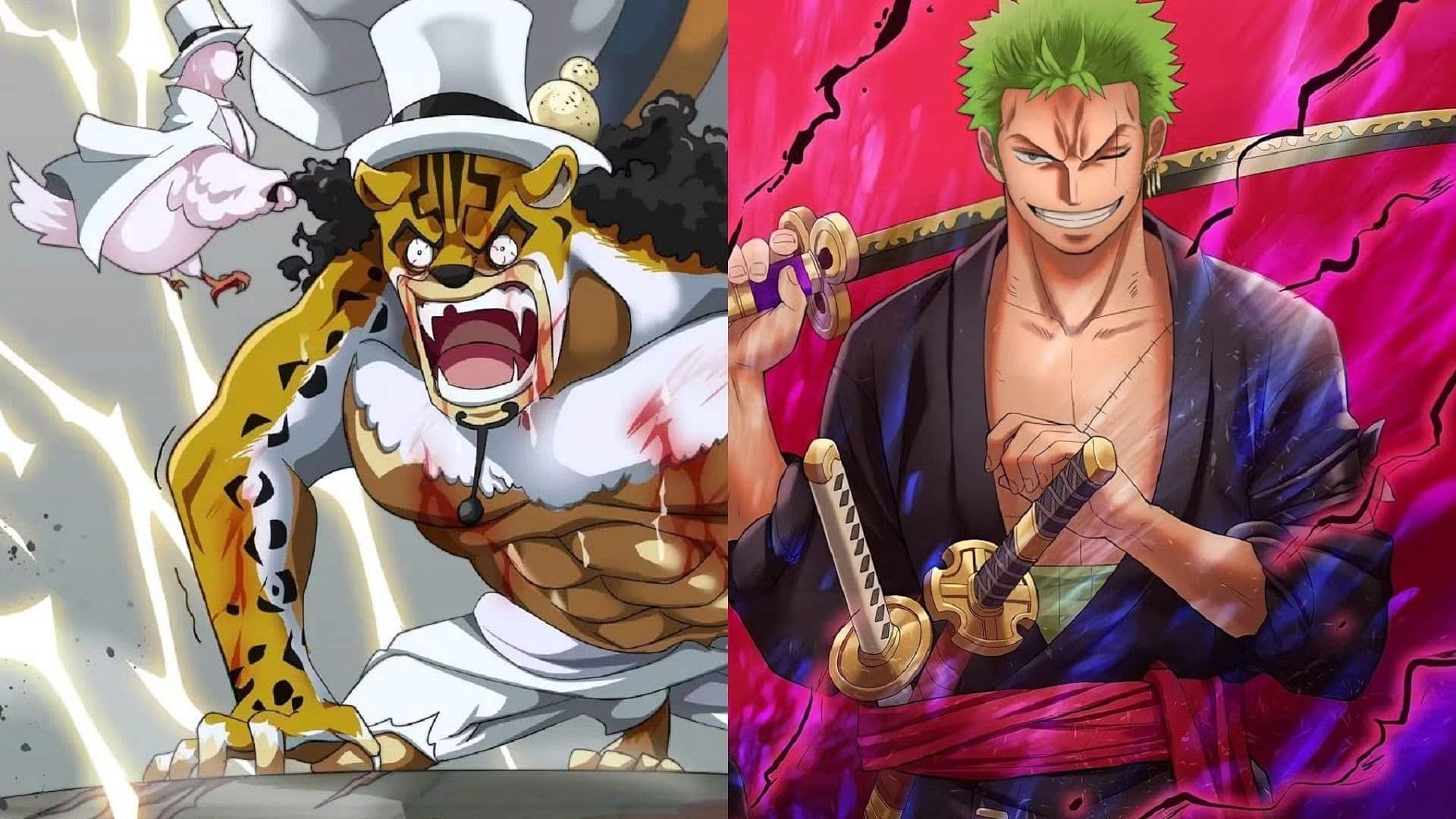 Il a été sous-entendu que Zoro est beaucoup plus fort que Lucci.
