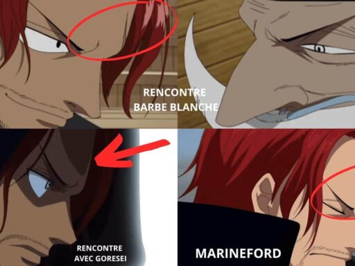One Piece chapitre 1084 les soupçons sur le fait que l'un des chevaliers Divins Shanks n'est pas Yonko