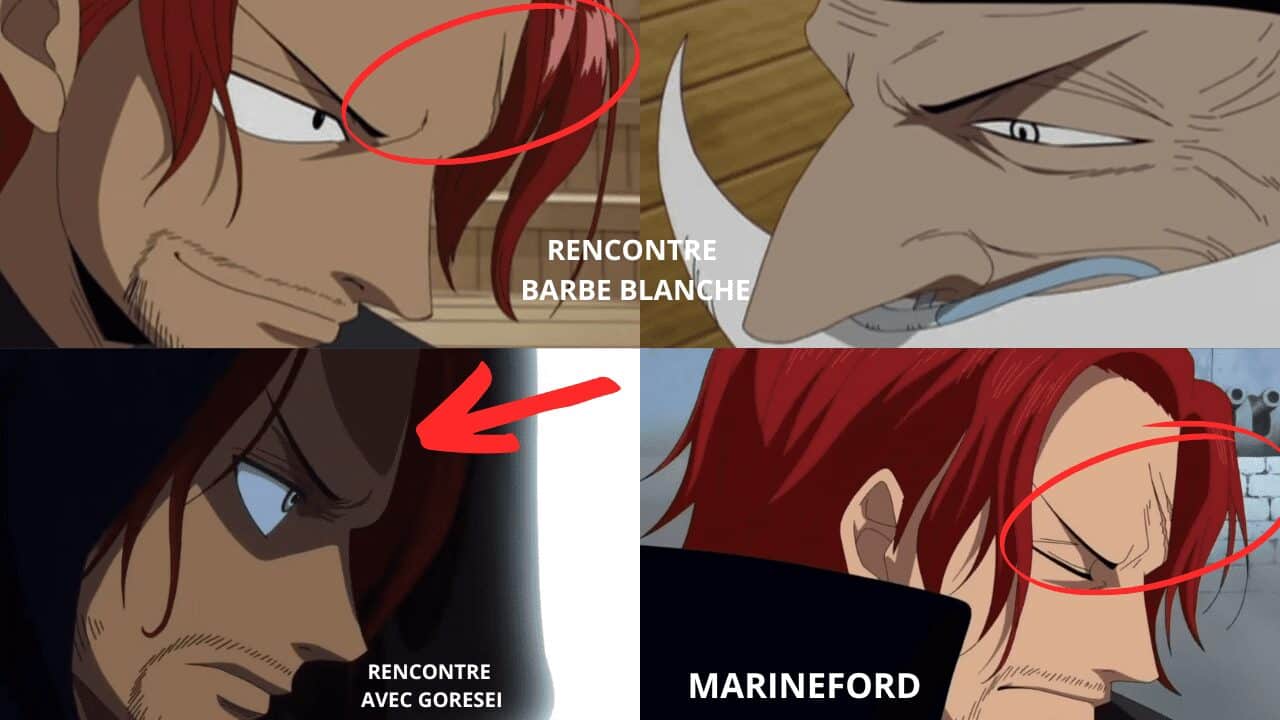 One piece la technologie du clonage et Shanks