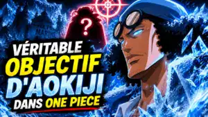 L'INCROYABLE VÉRITABLE OBJECTIF D'AOKIJI DANS ONE PIECE