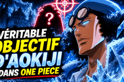 L'INCROYABLE VÉRITABLE OBJECTIF D'AOKIJI DANS ONE PIECE
