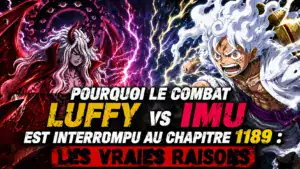 Pourquoi le combat Luffy Imu est interrompu au chapitre 1189 : Les vraies raisons